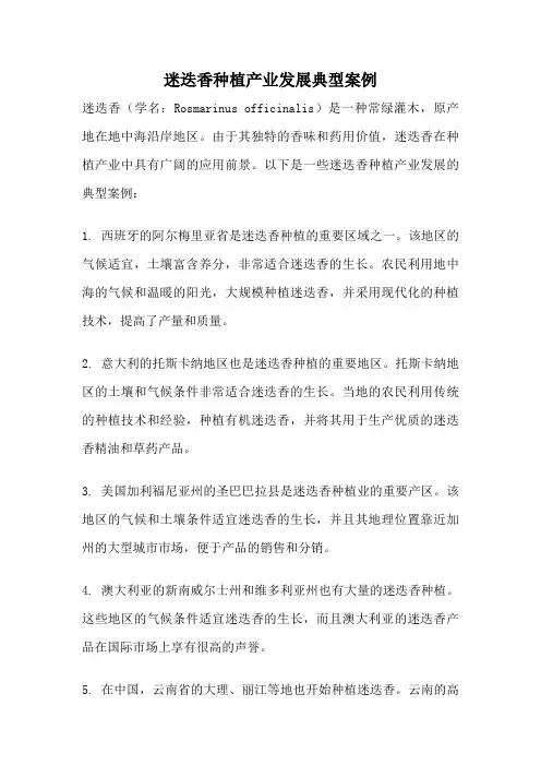 迷迭香种植产业发展典型案例