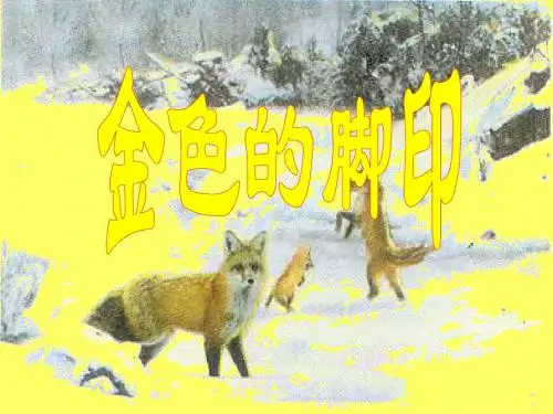 人教版小学六年级语文上册《金色的脚印》PPT课件 (33)