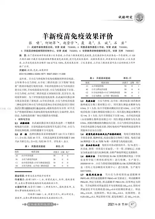 羊新疫苗免疫效果评价