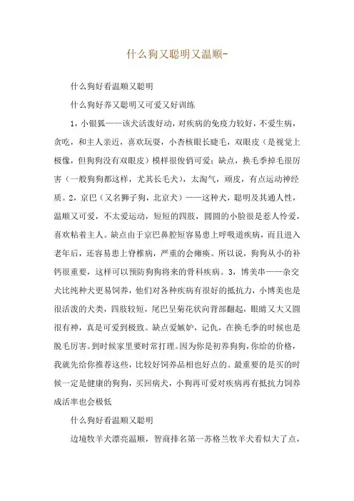 什么狗又聪明又温顺--什么狗好看温顺又聪明