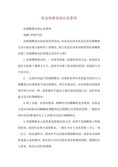 给金鱼换水的注意事项