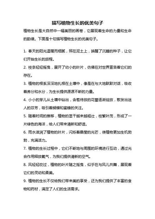 描写植物生长的优美句子