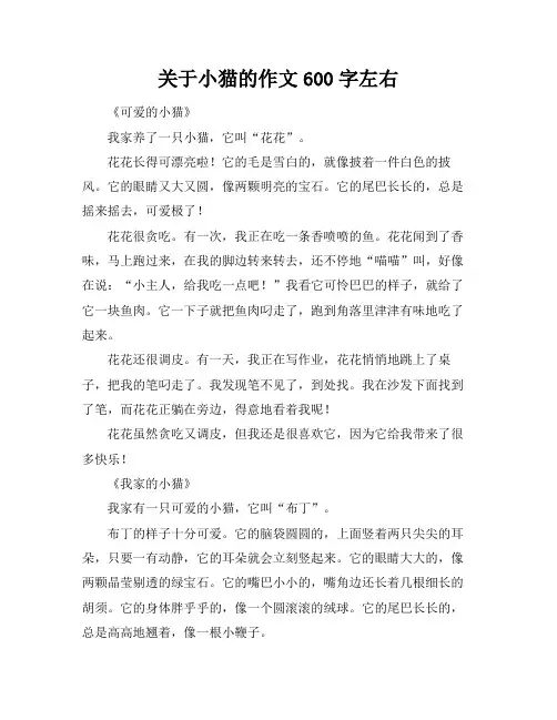 关于小猫的作文600字左右