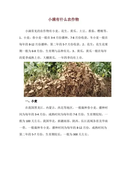 小满有什么农作物