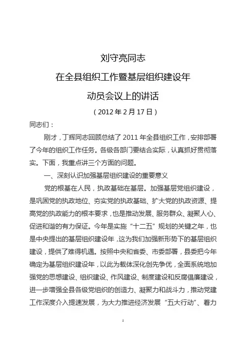 刘守亮在全县组织工作暨基层组织建设年动员会议上的讲话