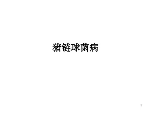 猪链球菌病