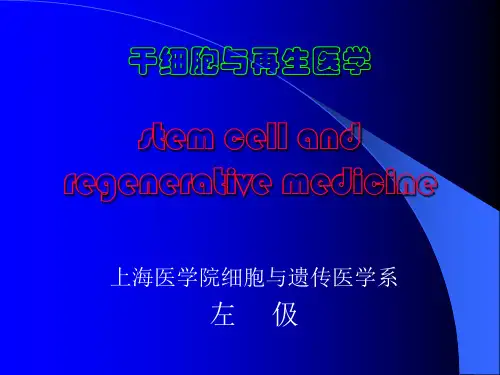 干细胞与再生医学ppt课件