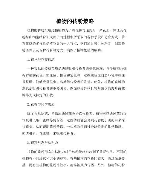 植物的传粉策略