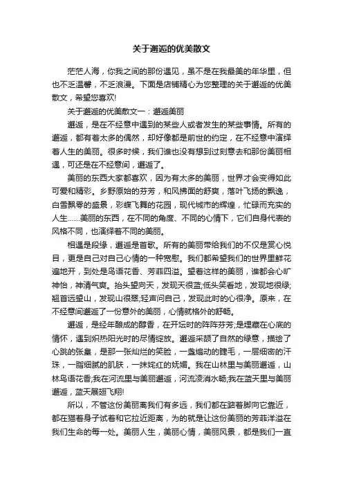 关于邂逅的优美散文