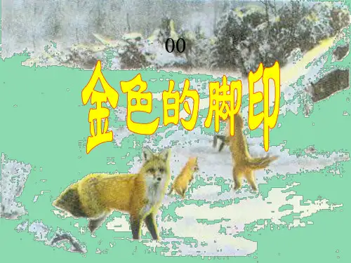 小学六年级语文上册《金色的脚印》课件