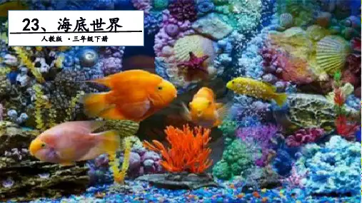 人教部编版三年级《海底世界》ppt优质课件(共20张PPT)