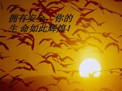 安全生产标准化