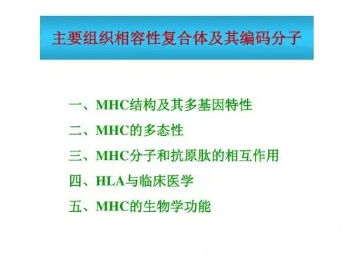 免疫学主要组织相容性复合体及其编码分子MHC复旦ppt课件