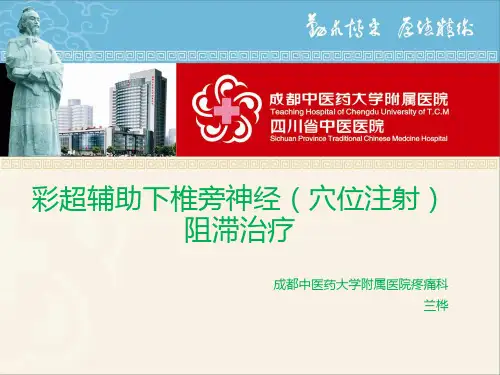 椎旁神经阻滞