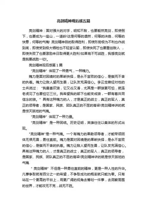 亮剑精神观后感五篇