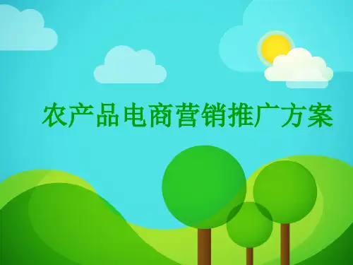 农产品电商营销推广方案 阿里巴巴农产品电商规划