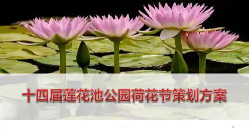 十四届莲花池公园荷花节活动策划方案PPT课件