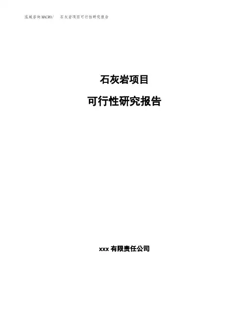 石灰岩项目可行性研究报告(参考模板范文)