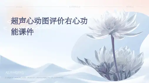 超声心动图评价右心功能课件
