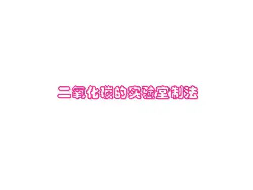 人教版九年级化学上册 二氧化碳的实验室制取课件(共12张PPT)