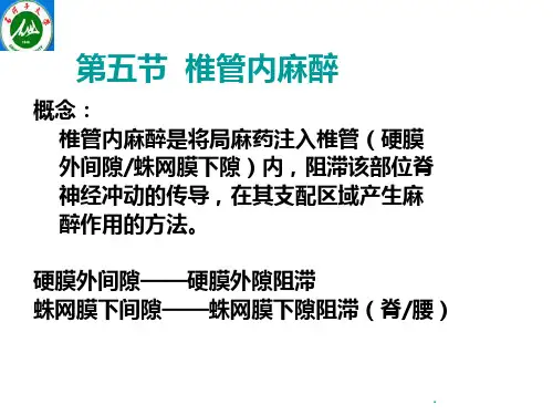 椎管内麻醉ppt课件