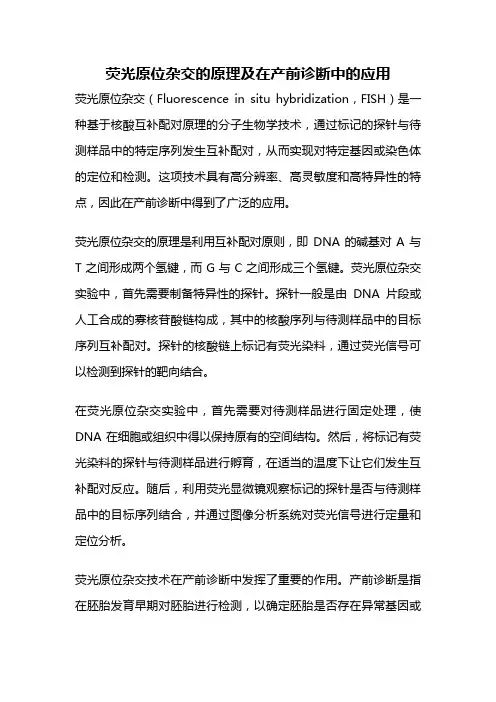 荧光原位杂交的原理及在产前诊断中的应用