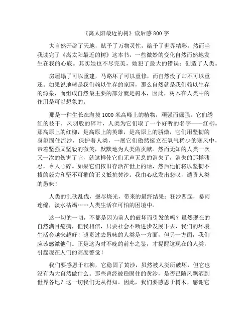 《离太阳最近的树》读后感800字