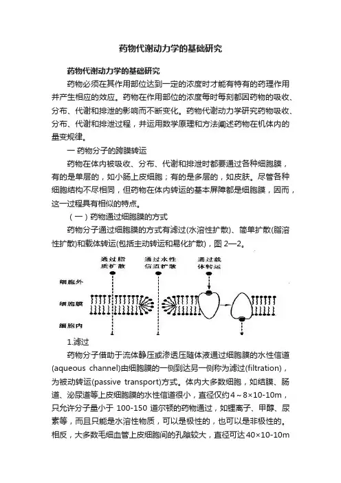 药物代谢动力学的基础研究