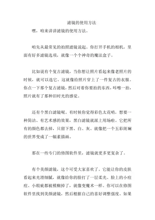 滤镜的使用方法