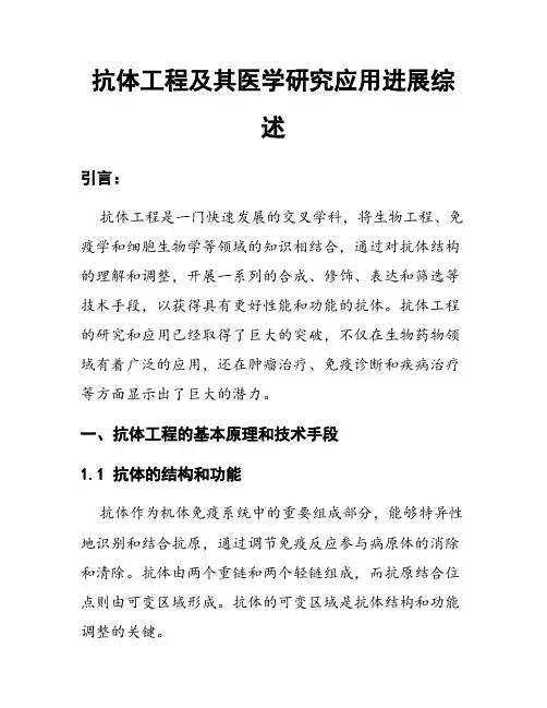 抗体工程及其医学研究应用进展综述