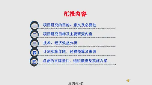 项目立项汇报模板PPT课件