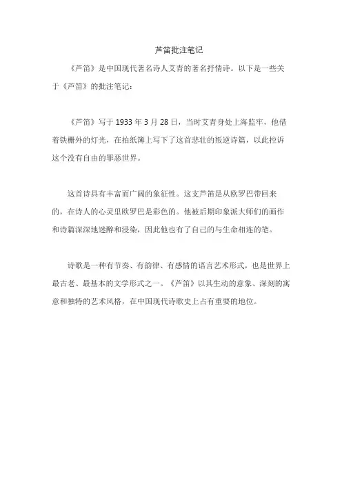 芦笛批注笔记