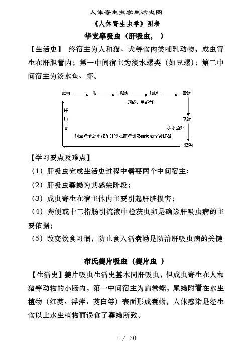 人体寄生虫学生活史图