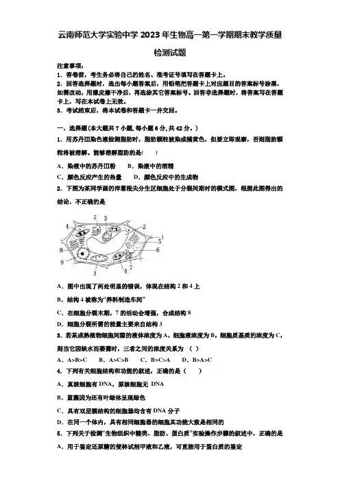 云南师范大学实验中学2023年生物高一第一学期期末教学质量检测试题含解析