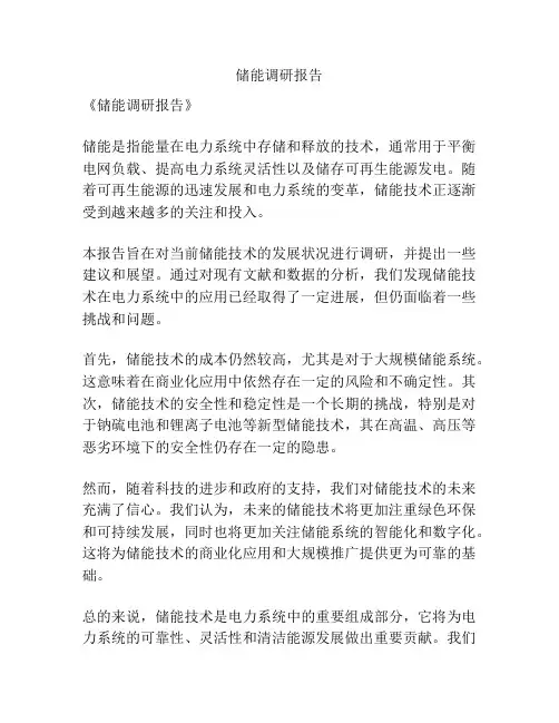 储能调研报告
