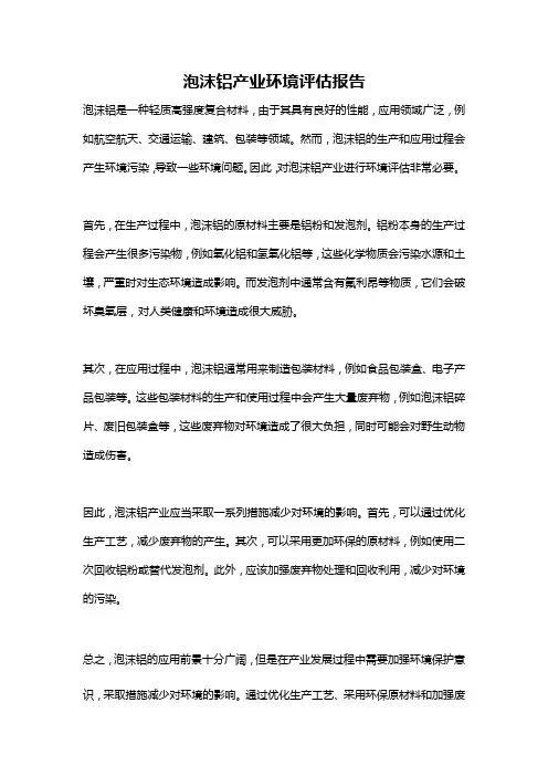泡沫铝产业环境评估报告
