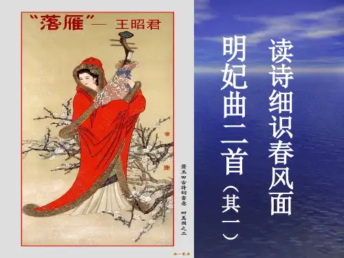 明妃曲二首其一【北宋】王安石