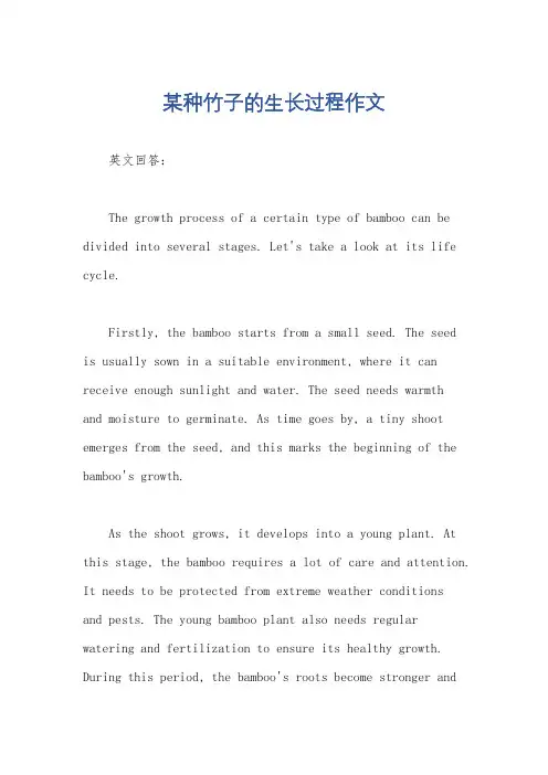 某种竹子的生长过程作文