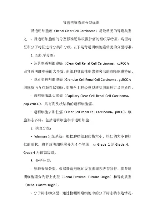 肾透明细胞癌分型标准