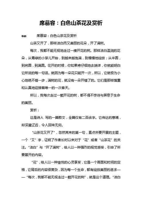 席慕容：白色山茶花及赏析
