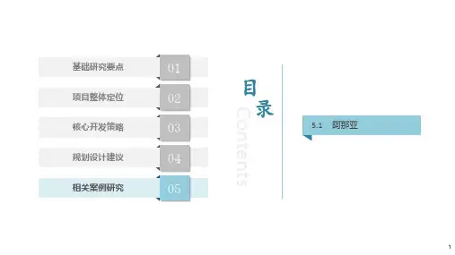 阿那亚案例