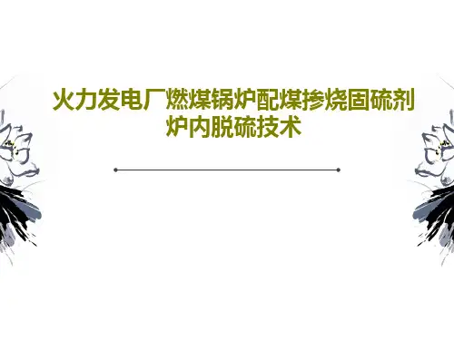 火力发电厂燃煤锅炉配煤掺烧固硫剂炉内脱硫技术共21页PPT