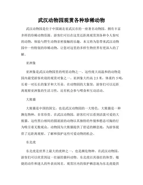 武汉动物园观赏各种珍稀动物