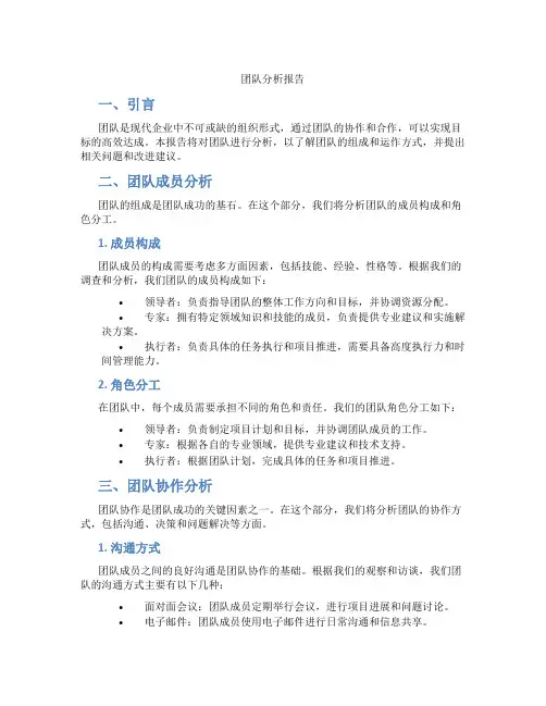 团队分析报告
