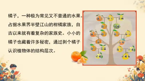 1.3.3植物体的结构层次课件-2024--2025学年人教版生物七年级上册(共20张PPT)