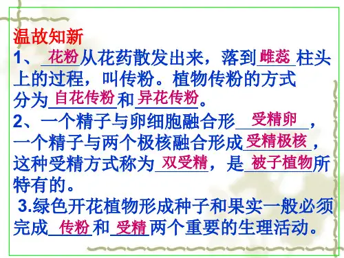 第一章第三节果实和种子的形成