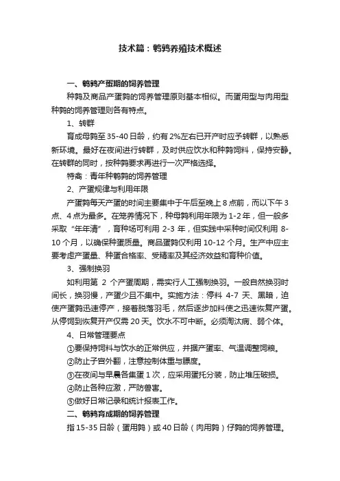 技术篇：鹌鹑养殖技术概述
