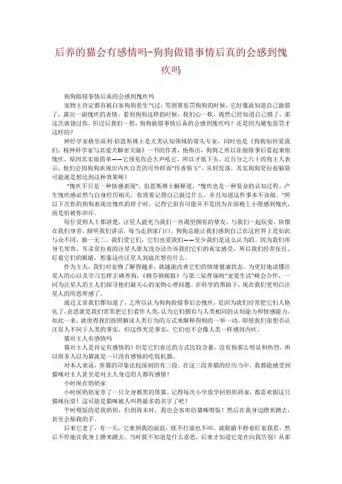 后养的猫会有感情吗-狗狗做错事情后真的会感到愧疚吗