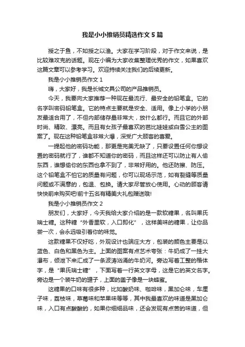 我是小小推销员精选作文5篇
