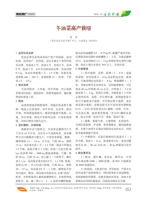冬油菜高产栽培